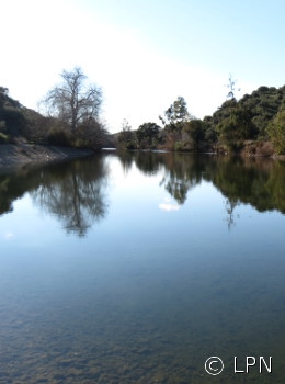 Habitat do saramugo