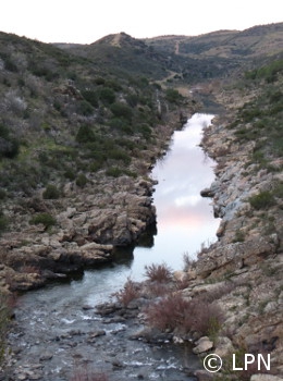 Habitat do saramugo
