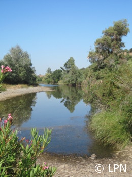 Habitat do saramugo
