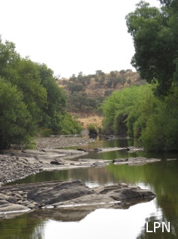 Vascão riverside