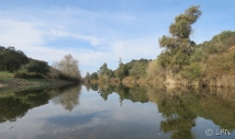 Menos exóticas, mais saramugo na ribeira do Vascão 