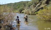 Qualidade biológica das ictiocenoses na bacia do Guadiana